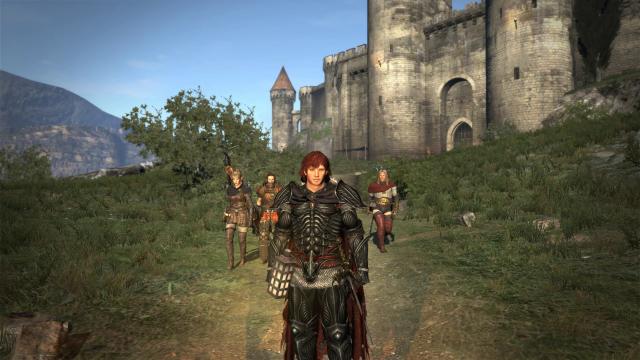 No Carry Limit AND_OR Sprint Stamina adjustments - for Dragon's Dogma