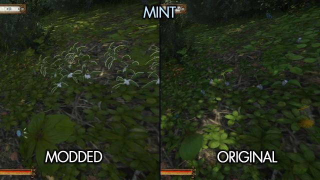 Easy To See Herbs for Kingdom Come: Deliverance