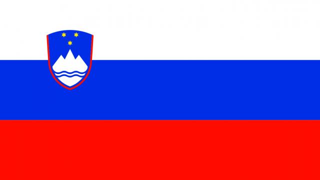 Slovenian Flag for PayDay 2