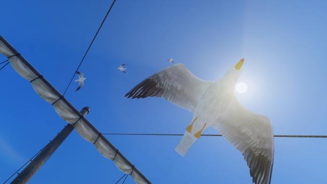 Seagulls of Skyrim for Skyrim SE-AE