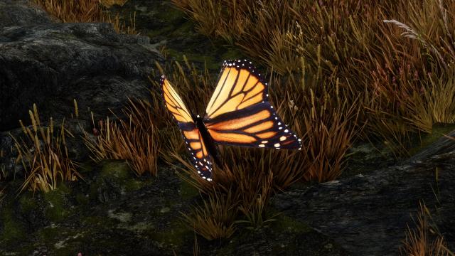 Rally’s Butterflies and Moths for Skyrim SE-AE