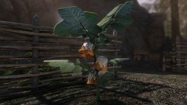 Harvestable Sweetrolls for Skyrim SE-AE