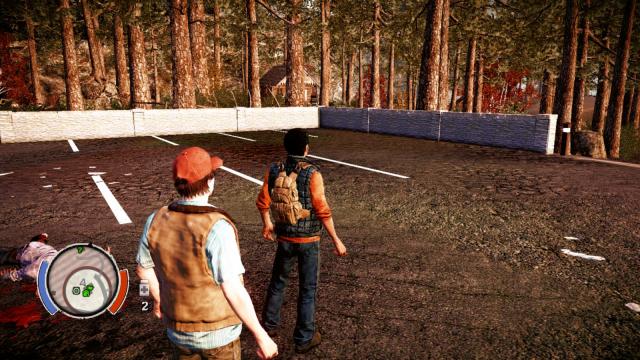 Shadow Removal Mod for State Of Decay