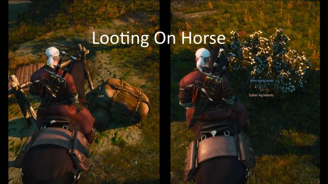 Looting On Horse for The Witcher 3