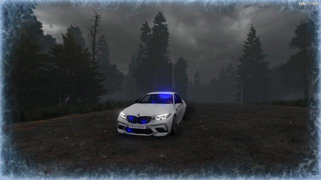 BMW Police