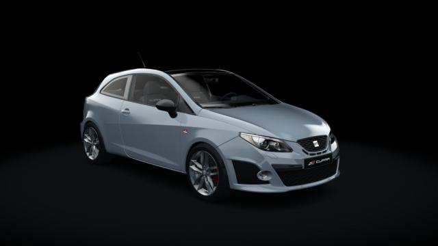 Seat Ibiza Cupra 2009