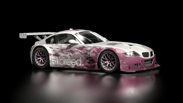 BMW Z4 M Coupe GT3 for Assetto Corsa