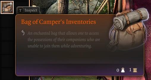 Bag of Campers' Inventories for Baldur's Gate 3