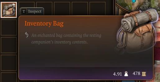 Bag of Campers' Inventories for Baldur's Gate 3