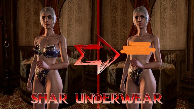 More Equal Underwear for Baldur's Gate 3