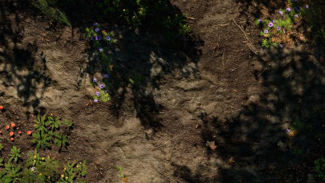 Vivid Landscapes - HD Ground and Terrain Textures with zero performance loss for Baldur's Gate 3