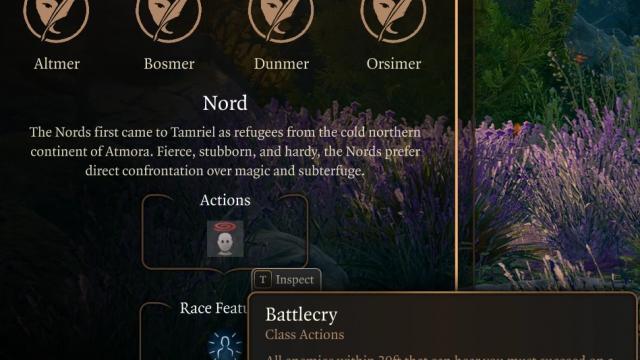 Adventurer's Guide to Tamriel for Baldur's Gate 3