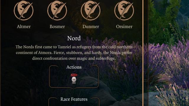 Adventurer's Guide to Tamriel for Baldur's Gate 3