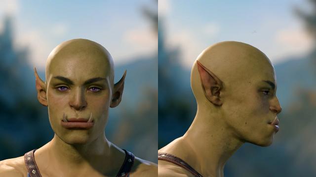 Frosty Faces (More Heads) for Baldur's Gate 3