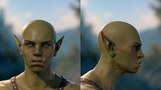 Frosty Faces (More Heads) for Baldur's Gate 3