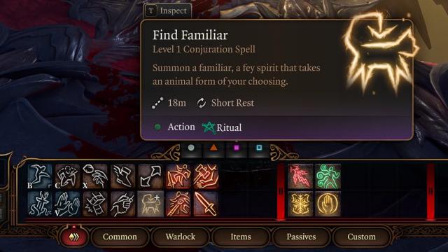 Find Familiar For All для Baldur's Gate 3