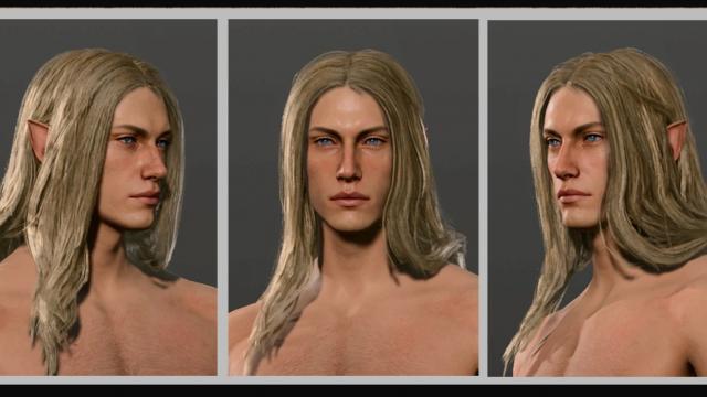 Long Straight Hair for Baldur's Gate 3