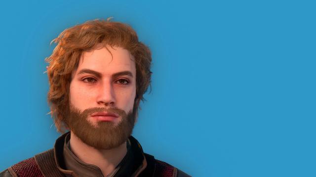HD Hair and Beards v1.1.0 for Baldur's Gate 3