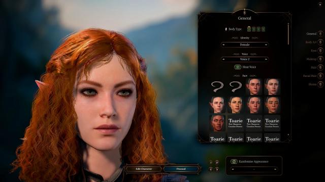 HD Hair and Beards v1.1.0 for Baldur's Gate 3