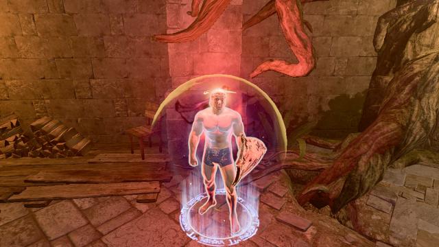 Cheat Item - Shield for Baldur's Gate 3