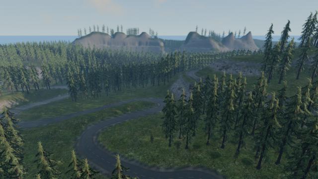 Forest Roads