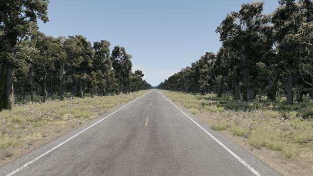 Texas, USA для BeamNG Drive