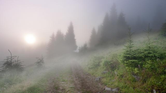 Туман / The Fog - Darkness