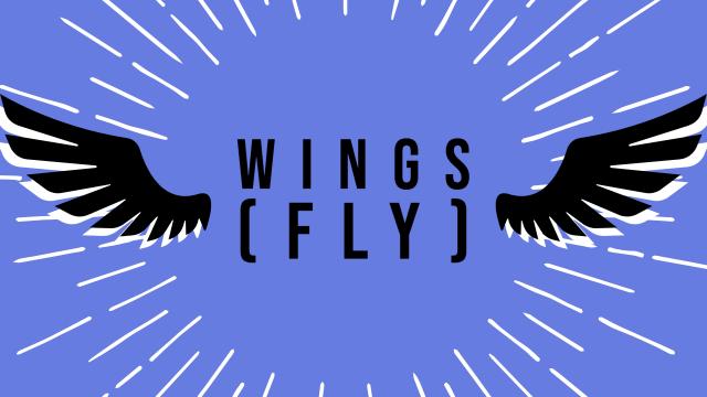 Полет / Wings (fly)