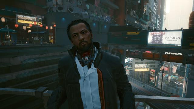 Subtle Samurai for Cyberpunk 2077