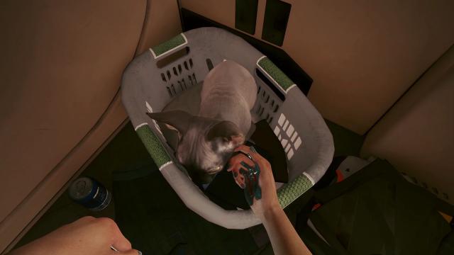 Pet Your Cat для Cyberpunk 2077