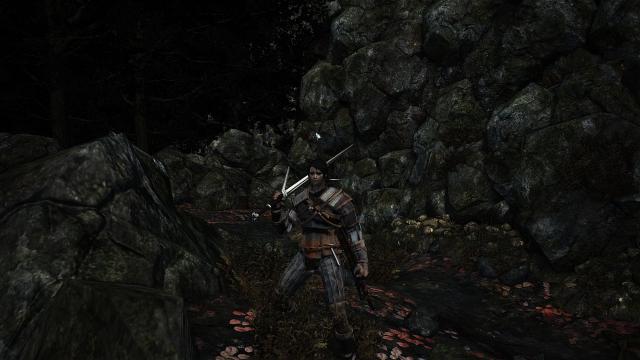 Сет Геральта / Geralt of Rivia armor and swords для Dark Souls 3