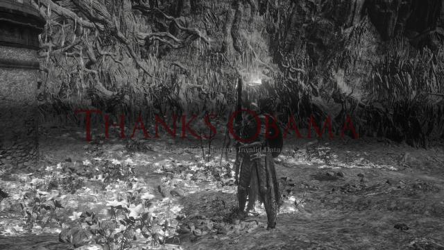 Спасибо, Обама / THANKS OBAMA для Dark Souls 3