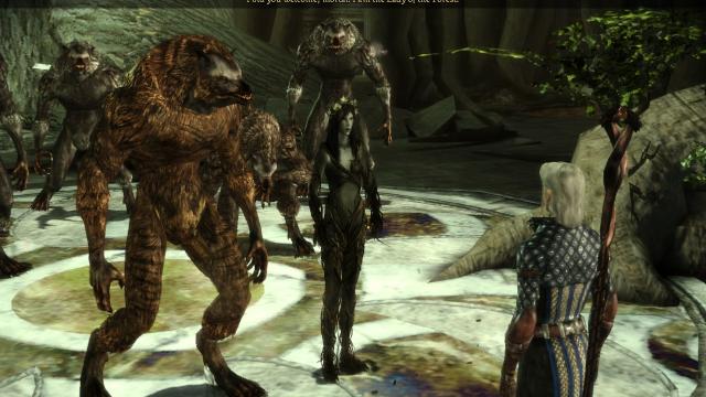 Furry Werewolf retexture for Dragon Age Origins