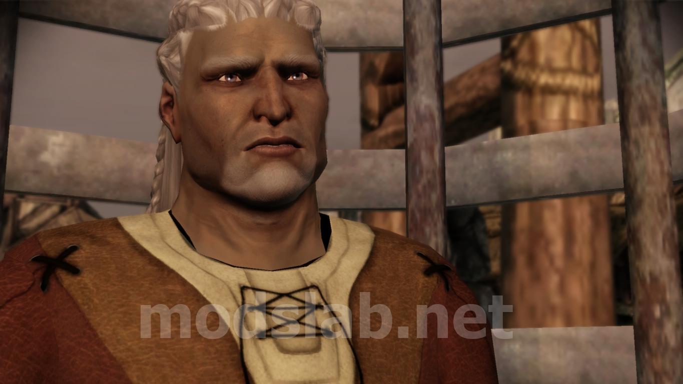 Download New hair for Sten for Dragon Age Origins