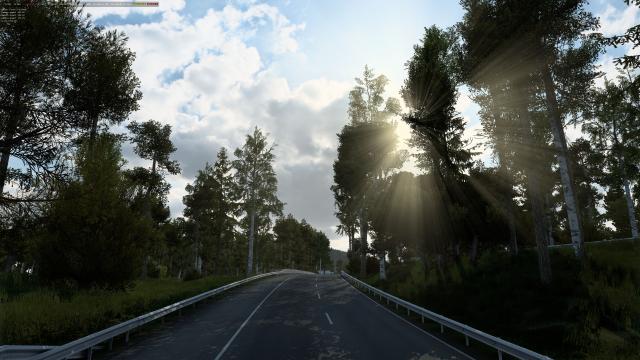 Tree Improved 4K для Euro Truck Simulator 2