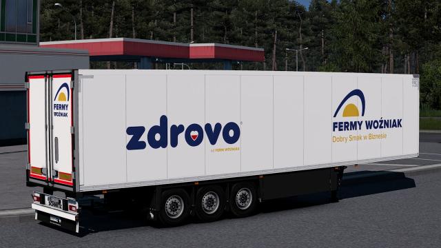 Skinpack for Schmitz S.KO 2020 for Euro Truck Simulator 2