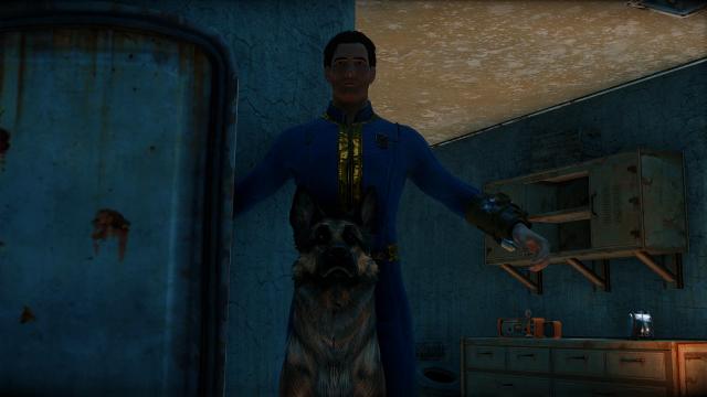 Disable Companion Collision для Fallout 4