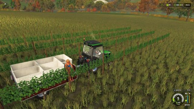 Manual grape harvester for Farming Simulator 25