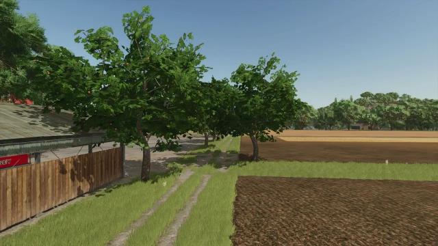 Fruit trees (OrangeApple)