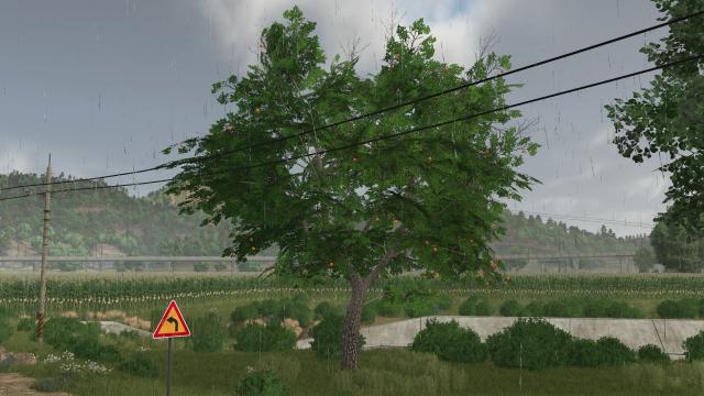 Fruit trees (OrangeApple) for Farming Simulator 25