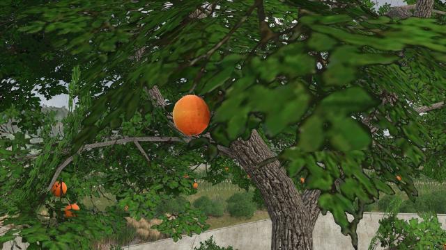 Fruit trees (OrangeApple) for Farming Simulator 25