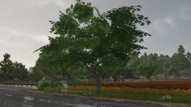 Fruit trees (OrangeApple) for Farming Simulator 25