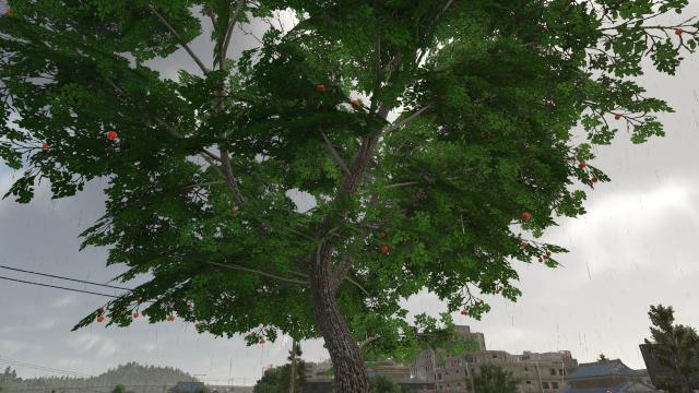 Fruit trees (OrangeApple) for Farming Simulator 25