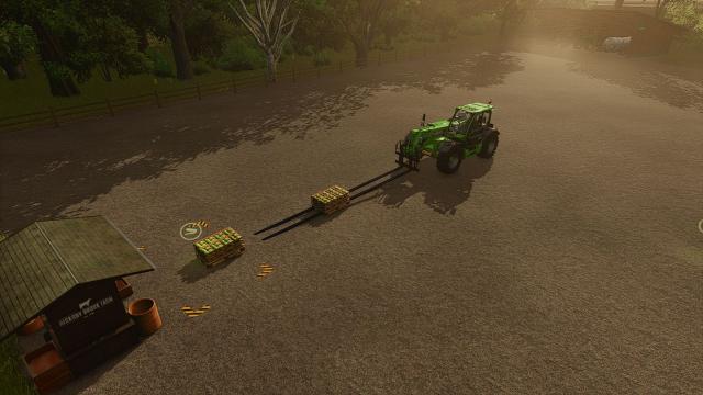 Magsi Extended Telehandler Fork for Farming Simulator 25