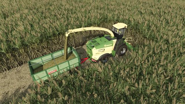 Krone X-Collect 900 for sugar cane and poplars