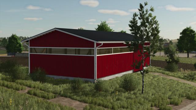 Price: $65,000 Daily upkeep: 25 $ for Farming Simulator 25