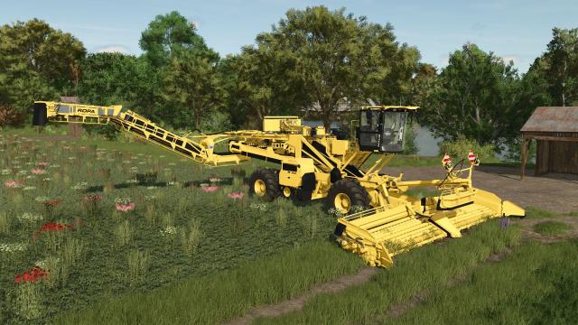 Ropa Maus 5 Multifruit