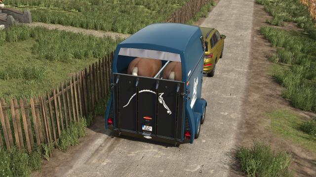 Boeckmann BigMaster WesternWCF for Farming Simulator 25