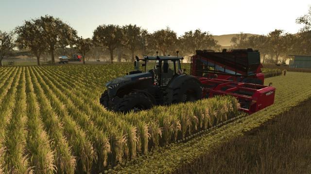 Amity Rice Harvester для Farming Simulator 25