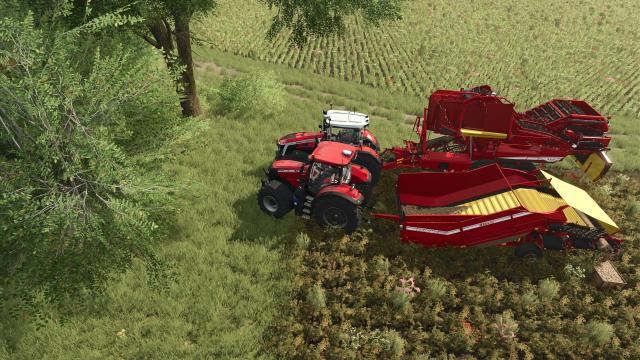 Grimme Pack for Farming Simulator 25